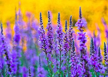 《智能工厂大亨》现已在Steam解锁发售 获玩家好评